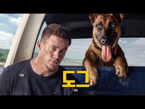 영화 [도그] 메인 예고편(한글): 채닝 테이텀, 코리안카 킬처, 제인 아담스 2022.10 동물 감동