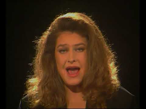 Birute Petrikyte   Naktyje