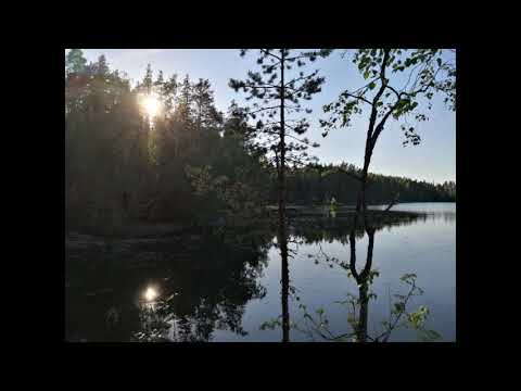 leebroman x broosnica - dreamathon