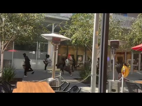 Dozens of robbery suspects fire shots, ransack San Ramon jewelry store