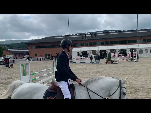 Oldenburg-International (OS), Gelding, 14 ans