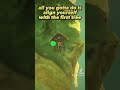 How to get inside Rito Village Chasm #tearsofthekingdom #totk #zelda #howto #shorts