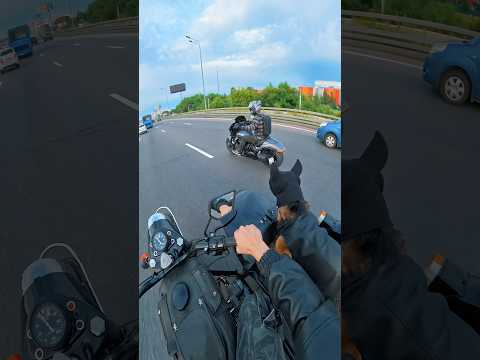 СОБАКИ ЛАЮТ — КАРАВАН ИДЁТ! #немецкаяовчарка #мотоциклурал #мотоцикл