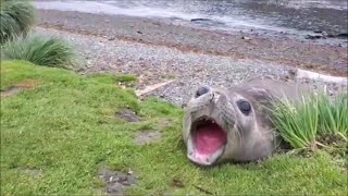 Cover art for AAaAAAAAAAAAAAAAAAA