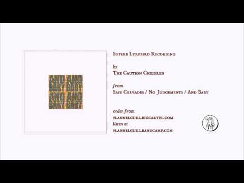 The Caution Children - Superb Lyrebird Recording