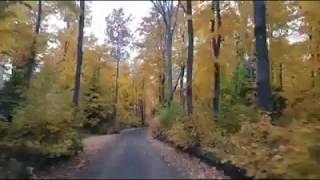 A DRIVE THRU THE WOODS, FALL COLORS BOOMING | Jason Asselin