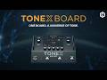 IK Multimedia IK Multimedia TONEX Board IK Multimedia IK Multimedia TONEX Board
