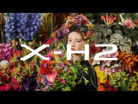 FUJIFILM X-H2 ミラーレス一眼カメラ ブラック [ボディ単体 FUJIFILM X-H2 ミラーレス一眼カメラ ブラック [ボディ単体