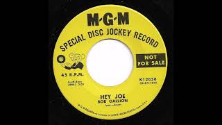 Hey Joe! Music Video