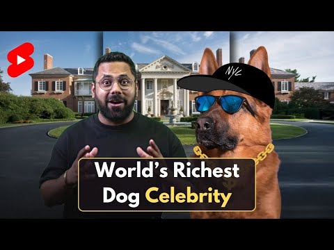 , title : 'The World's Richest DOG!'