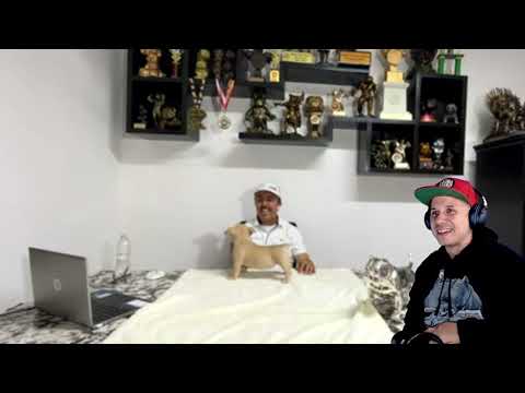 🥇💡 ¡VAMOS A DESCUBRIR CÓMO JUAN FRANCISCO LOGRÓ PRODUCIR SUS PERROS GANADORES! 🇲🇽🇺🇸