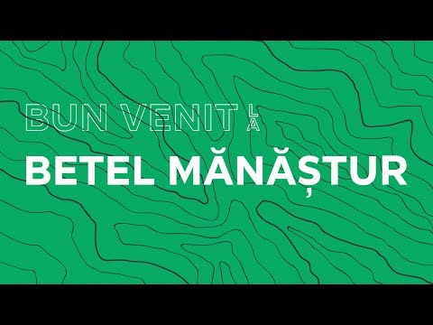 Precum in Cer si pe pamant | Adrian Tamas