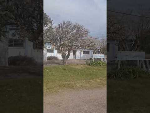 Escuela nro 27 de Localidad Vejigas Departamento  de Lavalleja, mi querida Escuela  que fui hasta 6