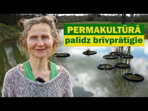 Permakultūrā palīdz ārzemju brīvprātīgie