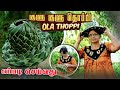 தென்னோலையில் தொப்பி செய்வது எப்படி Ola