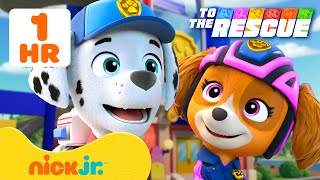PAW Patrol To The Rescue: Search & Rescue Missions! #3 w/ Marshall | Nick Jr. gameplay video by victoria.anderson, 5:00 duration