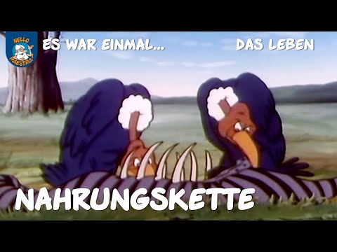 Die Nahrungskette (Es war einmal... das Leben | Ausschnitt)