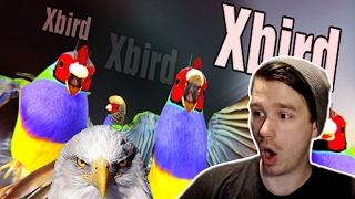 NOW THAT'S WHAT I CALL A DEAD PARROT! | XBIRD