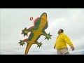 Dublin Kite Festival 2017 Promo RTE2 V2