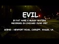 Evil by Pat Hare & Muddy Waters