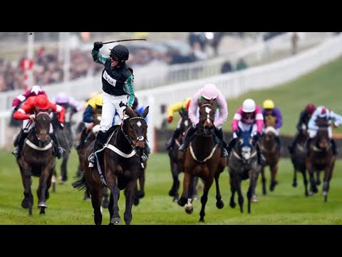 Cheltenham Festival 2016 Highlights