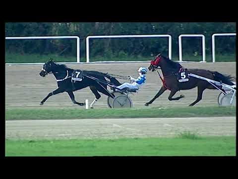 Napoli Trotto 29/10/2021 - 5ª corsa