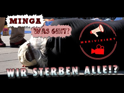 Im Zeichen der Zeit - Das Massensterben naht! | MINGA, was geht? | Folge 7 | MeriViziert