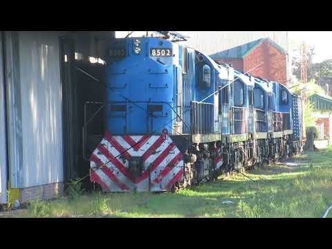 ALCO 8502 T.A.C. CON TREN DE LOCOMOTORAS EN SOLDINI