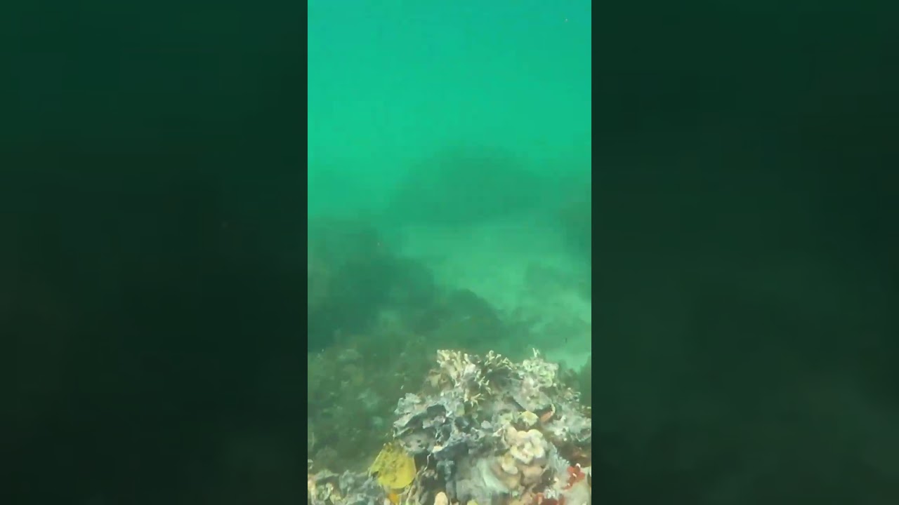 ASMR Underwater in PNG