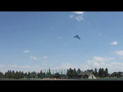 Teal Alpha Stunt Kite | Flying Wings Sport Kites | Available at KiteGarden.com