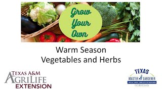 Warm Season Vegetables and Herbs (04.05.2025)