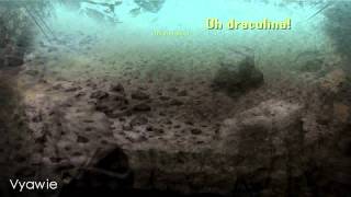 [Vyawie] - Alkaline Trio - Draculina