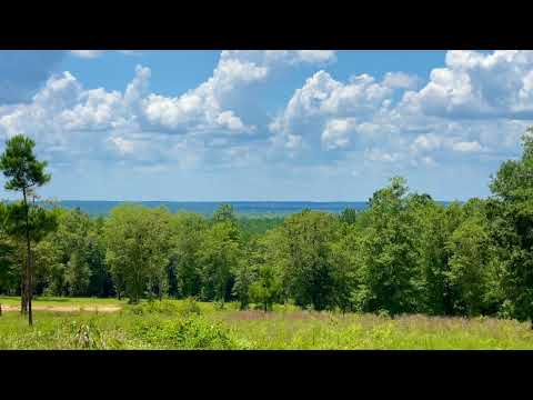 Lot 38 Buffalo Ridge Rd, Pace, FL - 5.2 ACRES - STUNNING WEST VIEWS - BUFFALO RIDGE COMMUNITY