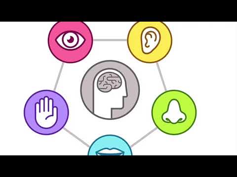 Rationalismus (René Descartes)