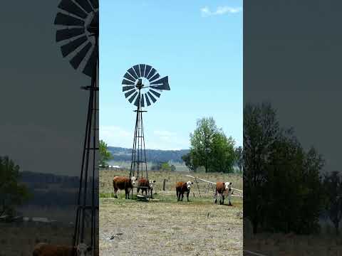 Windmill | Wind Energy