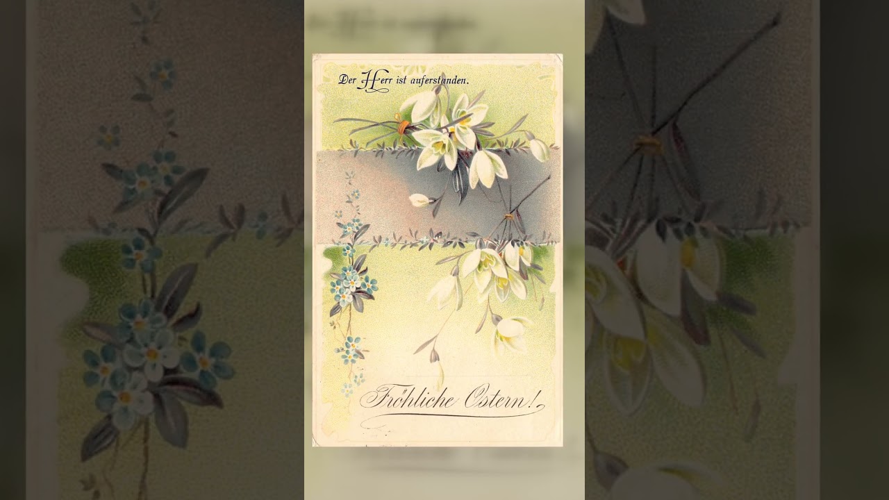 Easter Greetings Postcard, Divided Back, Flowers, 1911 Postmark Video