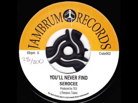 Serocee - You'll Never Find