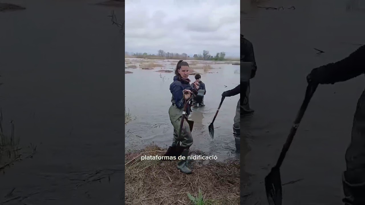 Charranes, tenéis listo todo para ser papás