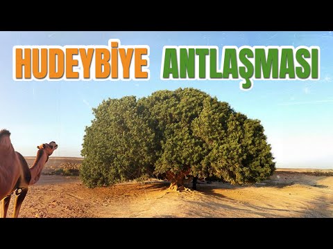 Bi'at-ür Rıdvan - Ağacın Altında Verilen Söz: Ölmek Var Dönmek yok!