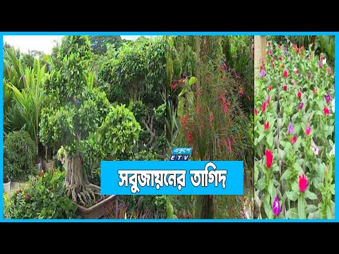 আগারগাঁওয়ে জাতীয় বৃক্ষ মেলা