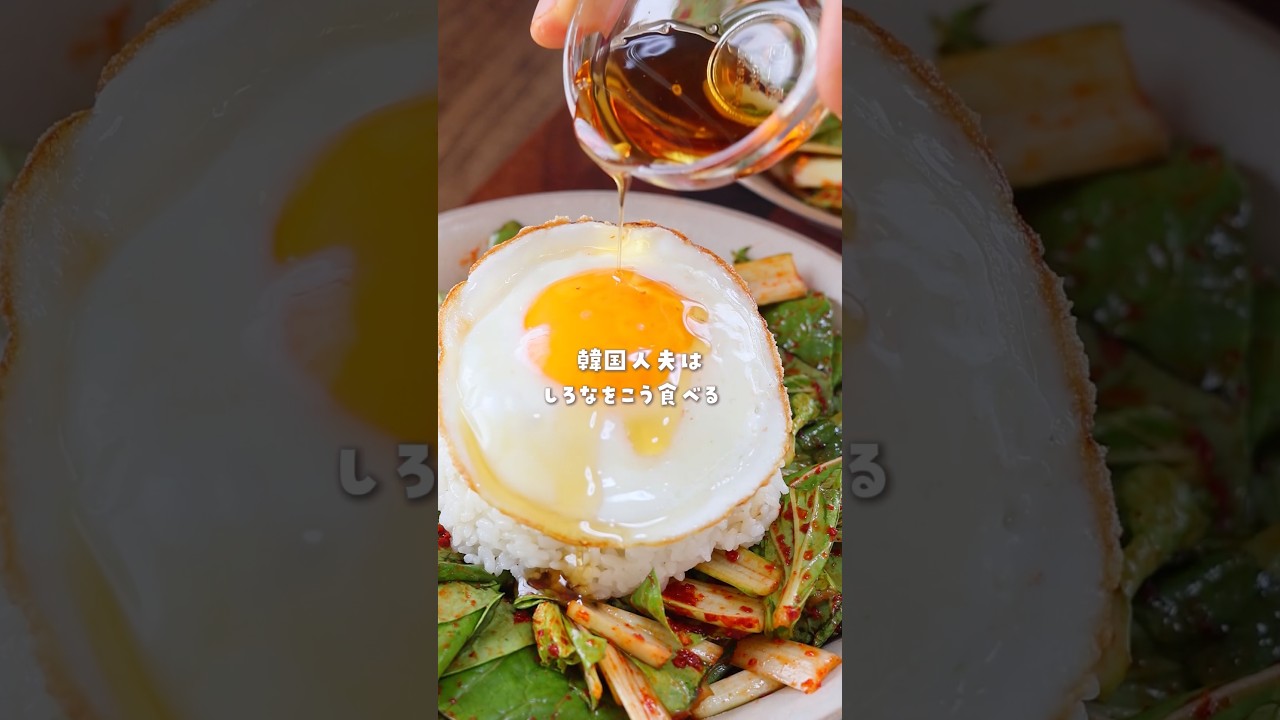 \レシピ本第2段📕好評発売中✨/#ポムドムビビンバ#韓国料理#ビビンバ