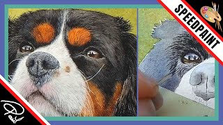 Dog, Cat Fur Watercolour Painting Tutorial - How to paint dog, cat fur and hair