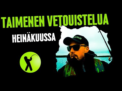 TAIMENEN VETOUISTELUA HEINÄKUUSSA (VETOUISTELU- MYLURE)