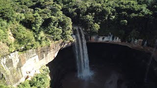 Jardín de las Delicias - Amboró