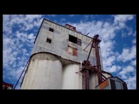 14  Cráneo  Made in M   Cristal  ft BxRod