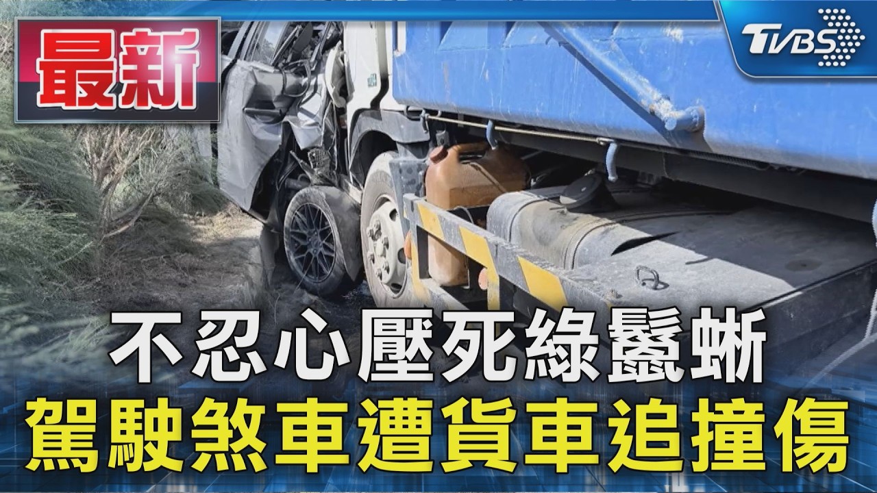 不忍心壓死綠鬣蜥 駕駛煞車遭貨車追撞傷｜TVBS新聞 @TVBSNEWS01
