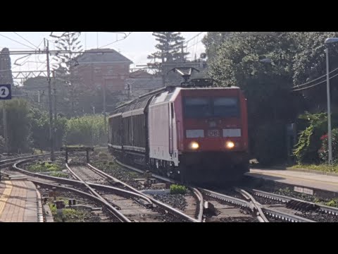 E.483 DB Cargo Italia con il Chiasso - Pisa in transito a Genova Nervi con Carri H, Telonati e piani