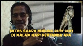 Download lagu mitos suara burung cuit cuit di malam hari  mp3