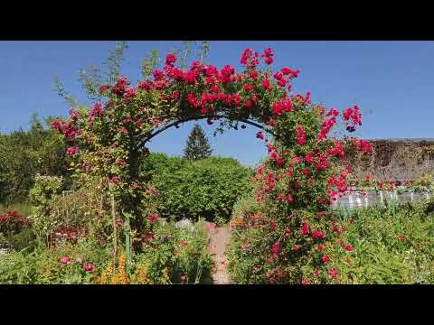 Monet's Garden in Giverny, France