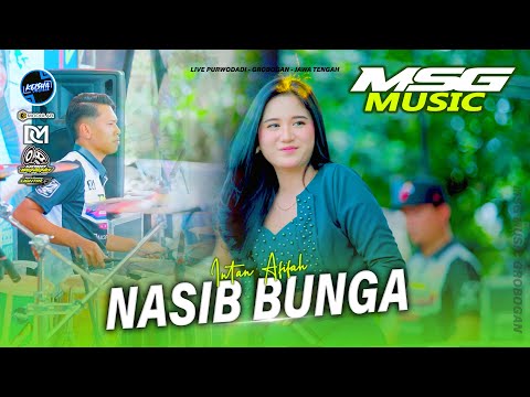 NASIB BUNGA - Intan Afifah MSG MUSIC X FARIS KENDANG Purwodadi Grobogan #2025
